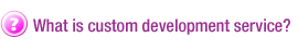 What is custom development service?